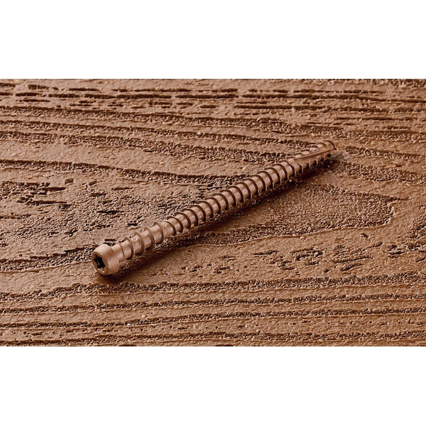 Starborn Deck Screw, #10 x 2-3/4 in, Carbon Steel, Trim Head, Torx Drive, 350 PK CXD34T10275 - main
